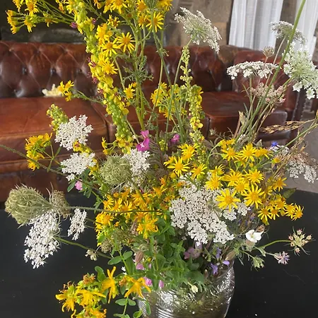 Château De La Robinière 2 A 20 Personnes * Saint-Cyr-en-Pail
