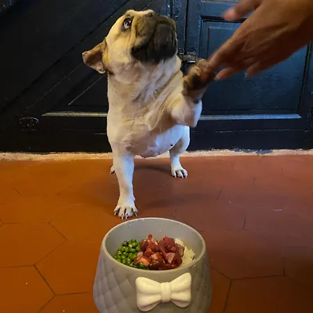 Casa de Férias Château De La Robinière 2 A 20 Personnes Saint-Cyr-en-Pail