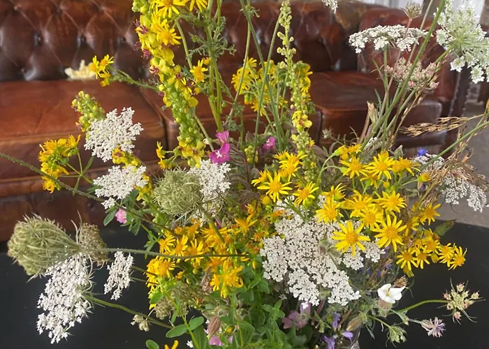 Château De La Robinière 2 A 20 Personnes * Saint-Cyr-en-Pail